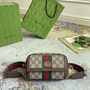 Gucci Classic Series Ophidia mini bag